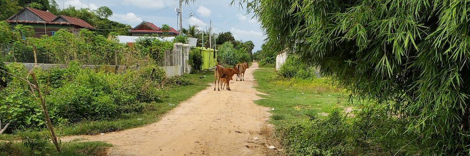 Road in Svay Rieng
